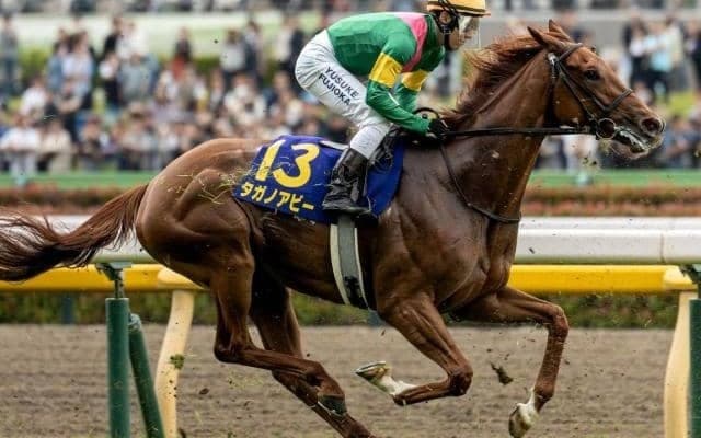 【長久手特別】オークス3着のタガノアビー 必勝を期す始動戦だ