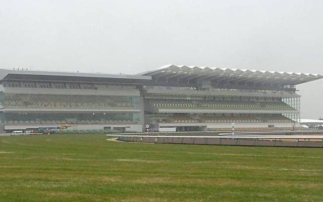 Yaupon産駒がJRA初出走 ユウトザイノセントがデビュー勝ちなるか