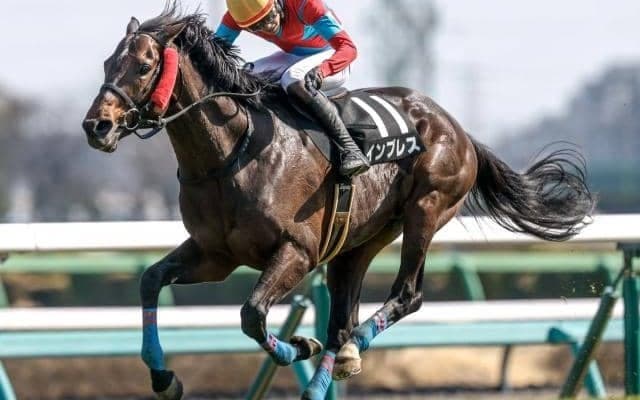 【今日の注目ポイント】新潟JSと長久手特別にオークス3着のタガノアビーが登場