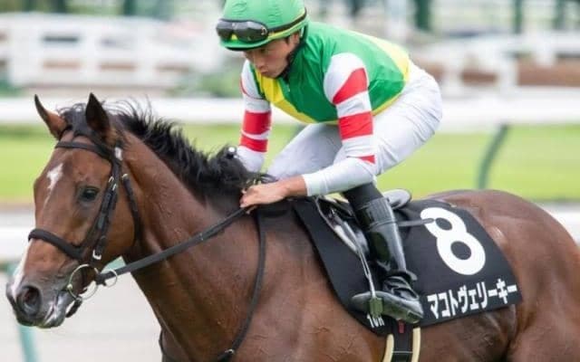 【高山S】ディープインパクト系が複勝率50％ 狙いは外枠がベター