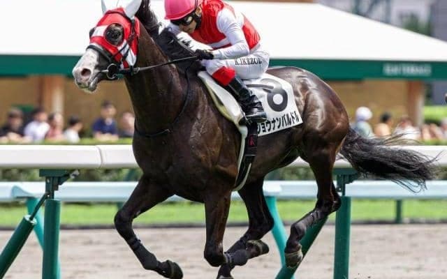 【石狩特別】セレクト3.1億円のショウナンバルドル 芝に戻って待望の2勝目なるか