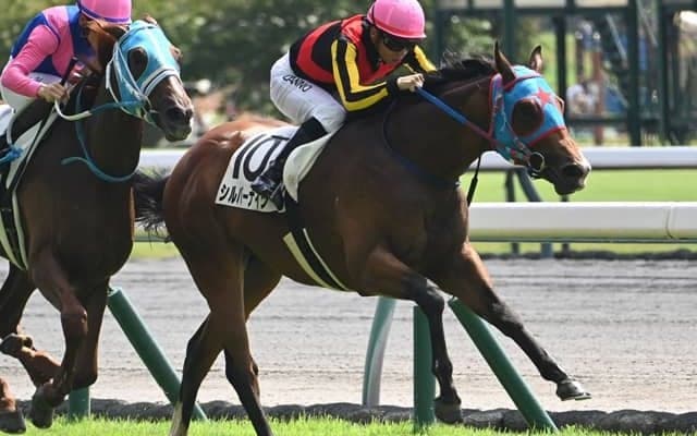 【中京2R新馬戦結果】ミッキーアイル産駒シルバーナイツが人気2頭の競り合いを制す