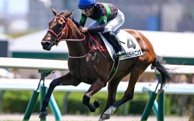 【札幌5R新馬戦結果】ビッグアーサー産駒ナオミライトニングが好位抜け出しV