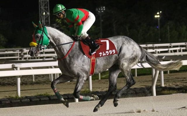 【園田・摂津盃】9番人気ナムラタタ、吉村智洋騎手の好騎乗で重賞初V！…石橋満調教師、地元兵庫で待望の重賞制覇