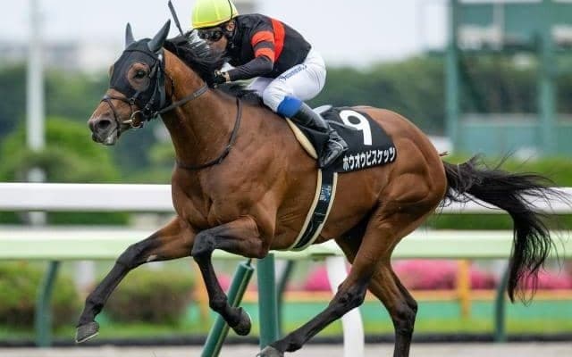 【札幌記念前日オッズ】ホウオウビスケッツが2.9倍で1番人気