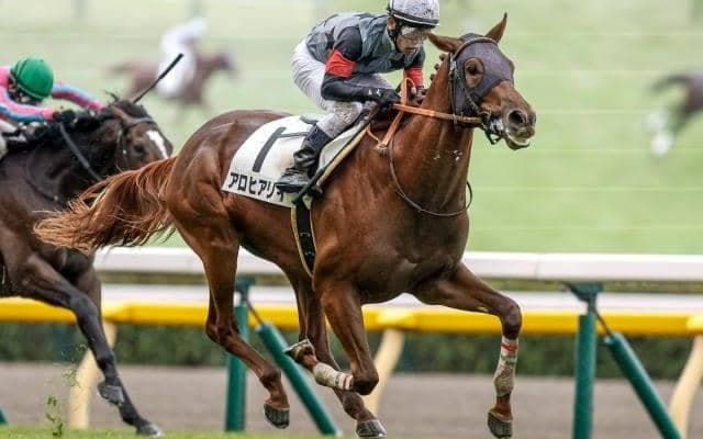 【仏・ギヨームドルナノ賞結果】日本のアロヒアリイが逃げ切り完勝！ 海外で重賞初制覇