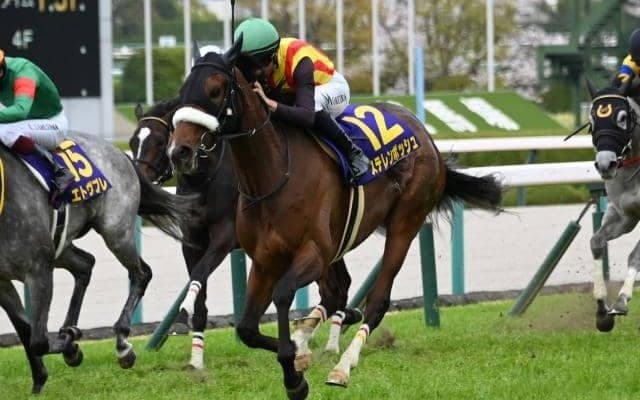 【今日の注目ポイント】札幌記念と中京記念＆仏ジャックルマロワ賞