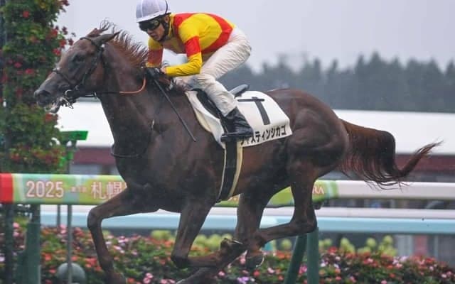 【札幌5R新馬戦結果】スワーヴリチャード産駒ジャスティンシカゴが押し切りV