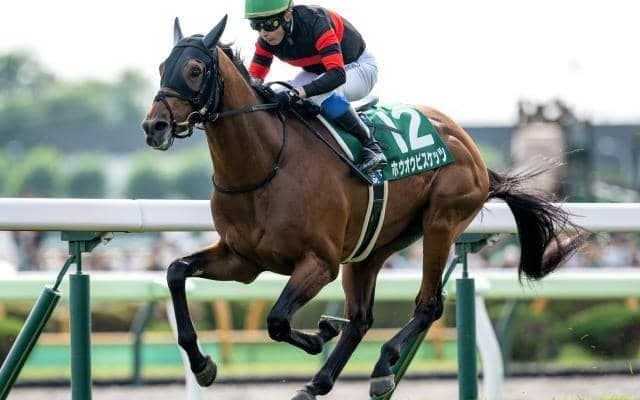 【札幌記念・馬体重】ホウオウビスケッツは514kg(+12)、ステレンボッシュは472kg(+4)