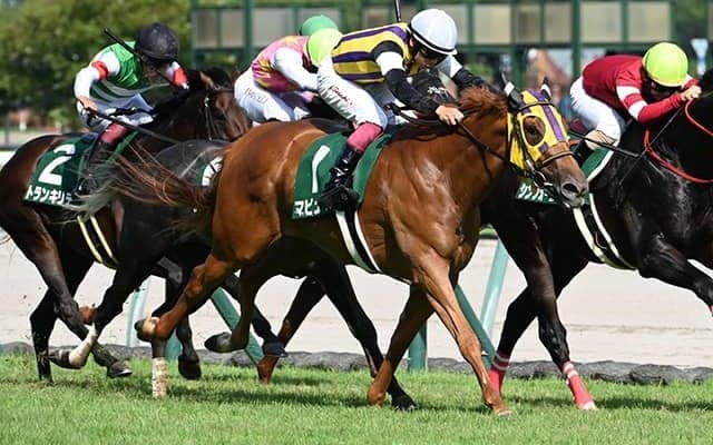 【JRA・WIN5】本日のWIN5は的中190票、配当261万7070円