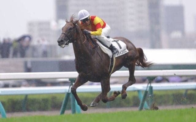 【新馬/札幌5R】武豊ジャスティンシカゴがデビューV