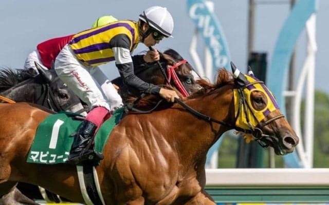 【中京記念】横山武「馬がよく応えてくれた」マピュースが重賞初制覇