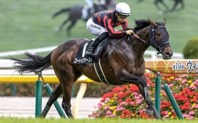 【仏・ジャックルマロワ賞】ゴートゥファースト5着、アスコリピチェーノ6着 愛国のディエゴヴェラスケスがV