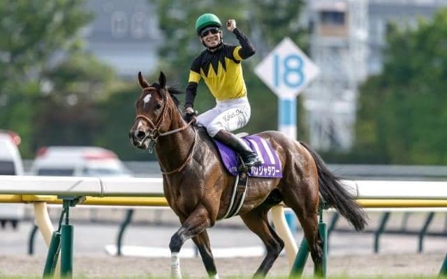 新潟2歳SとキーンランドC 20日には英インターナショナルS/今週の競馬界の見どころ