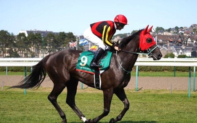【仏ジャックルマロワ賞】黒岩師「自分の競馬をさせてもらえなかった」アスコリピチェーノは6着