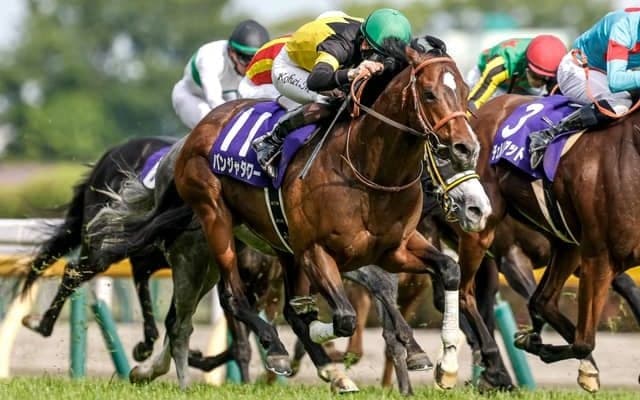 【キーンランドC見どころ】GI馬パンジャタワーの復帰戦に注目