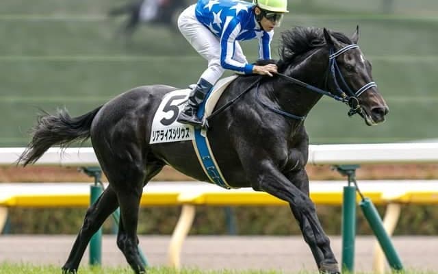 【新潟2歳S見どころ】将来有望株のリアライズシリウスに注目