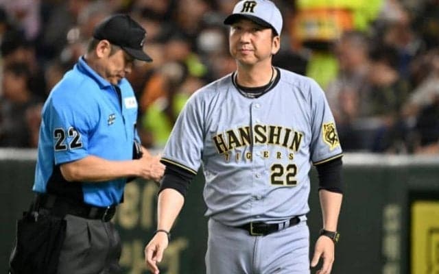 藤川阪神し烈な正左翼手争い…“レギュラー不在”の現状に元投手コーチが持論「外に出た方がチャンスを得られる場合もある」