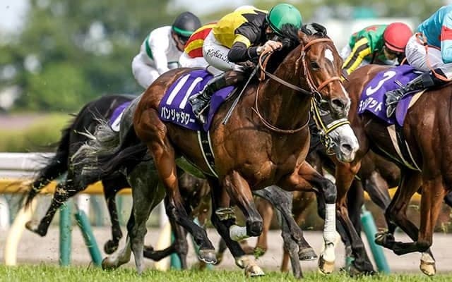 【キーンランドC想定騎手】パンジャタワーは松山弘平騎手、レイピアは北村友一騎手