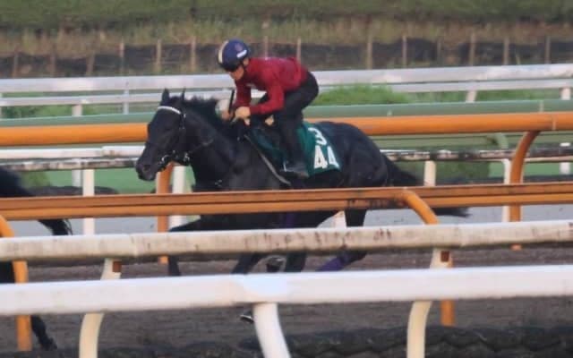 父はディープインパクト産駒の仏ダービー馬 キッコベッロが日曜中京で初陣/関西馬メイクデビュー情報