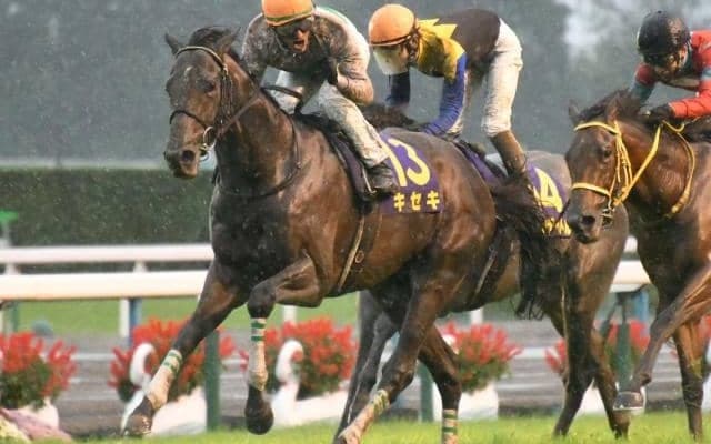 ダート800mで新種牡馬キセキの産駒初勝利 現役時代には菊花賞制覇