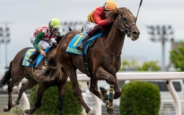 【浦和・ルーキーズサマーC枠順】2戦2勝のロードレイジングは5枠5番