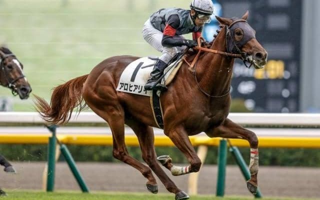 「アロヒアリイは凱旋門賞でも好勝負になる?」 血統に関する疑問に回答！