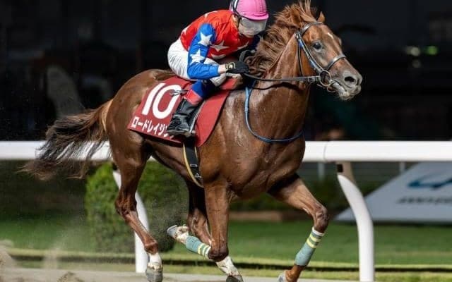 【浦和・ルーキーズサマーC注目馬】南関東最初の2歳重賞に素質馬集結 秋の大舞台に向けて名乗りを上げるのは