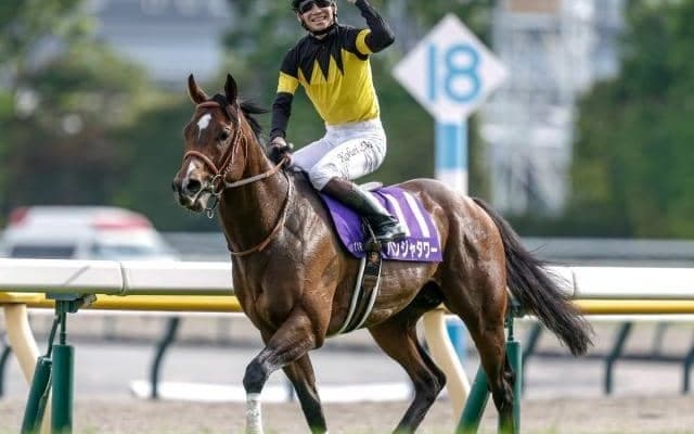 【キーンランドC予想オッズ】パンジャタワーが予想1番人気