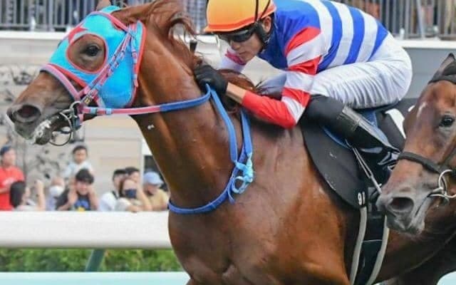 【キーンランドC】友駿HCが12年ぶりのJRA重賞制覇なるか フィオライアが一発狙う