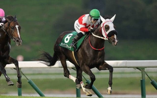 【盛岡・ジュニアグランプリ】セイクリスティーナ堂々のV…岩手牝馬路線の主役へ