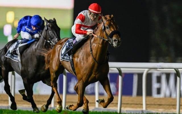 【英インターナショナルS結果】ダノンデサイルは5着 オンブズマンが人気に応えてV