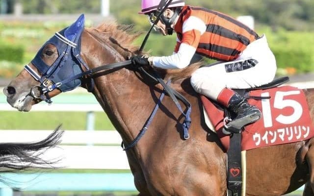 半姉は名牝ウインマリリン ウインベルチェーロがデビューVなるか
