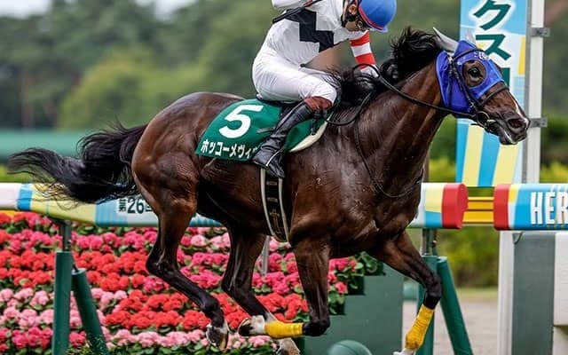 障害重賞4勝のホッコーメヴィウスが登録抹消 関西大学で乗馬になる予定