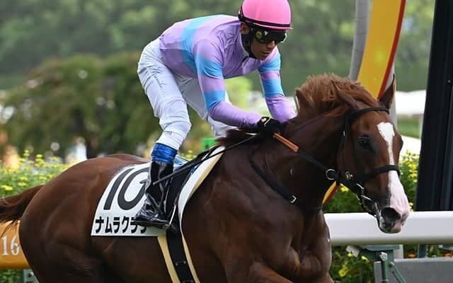 【キーンランドC】史上初のきょうだい制覇へ 重賞5勝馬の妹ナムラクララが挑む