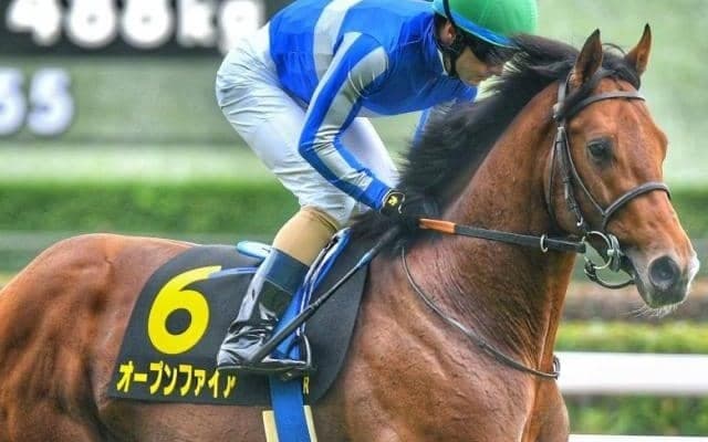 【長岡S】3.3億円のディープ産駒 オープンファイアが復活Vなるか