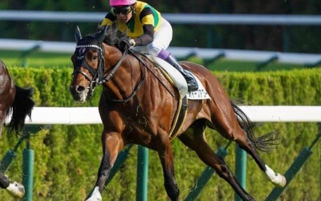 【長岡S】母は名牝スイープトウショウ スイープアワーズがオープン昇級なるか