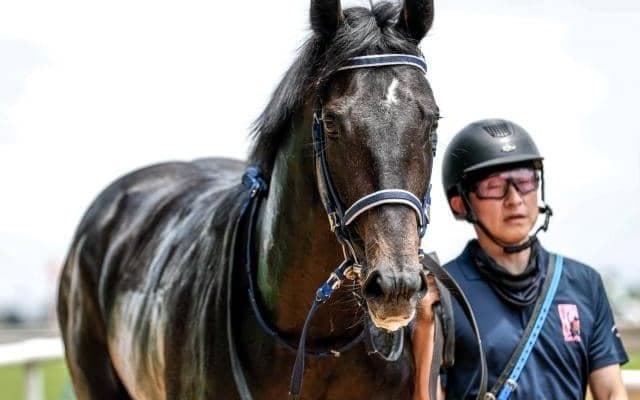 【新潟2歳S枠順確定】リアライズシリウスは8枠9番、フェスティバルヒルは4枠4番