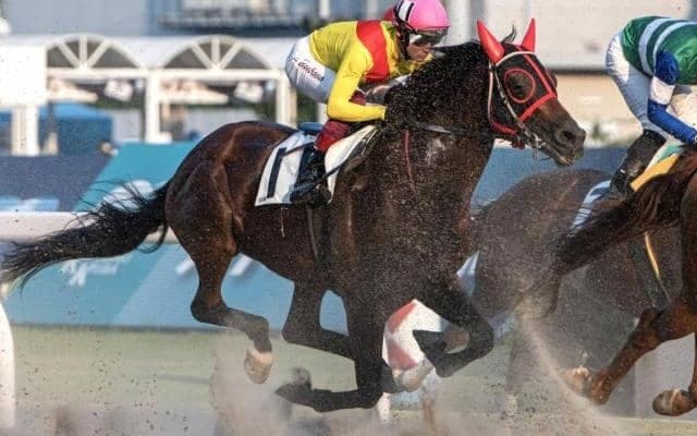 グラスワンダー産駒のファイナルワンダーが2勝目 今月8日に亡くなった父へ捧げる白星に