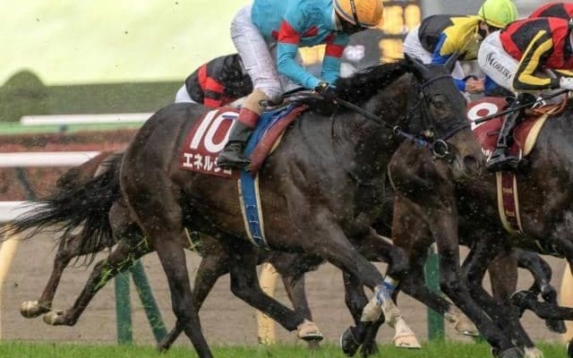 【新潟記念想定馬・騎手】エネルジコ、ブレイディヴェーグなど17頭