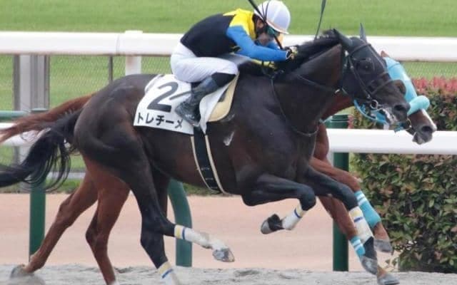 半兄はGI・2勝のラブリーデイ トレチーメが休み明けVなるか