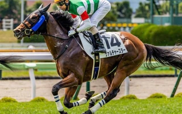 母は名牝ハープスター ヴァルチャースターが初ダートで激変なるか