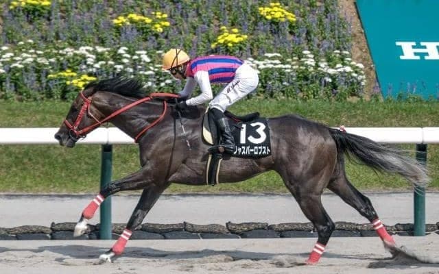 【今日の注目ポイント】BSN賞でジャスパーロブストがOP初勝利を狙う