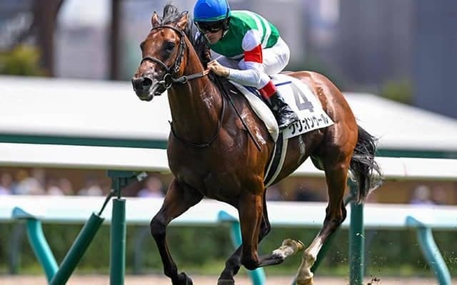 【札幌5R新馬戦結果】エピファネイア産駒グリオンヴールが断然人気に応え7馬身差V