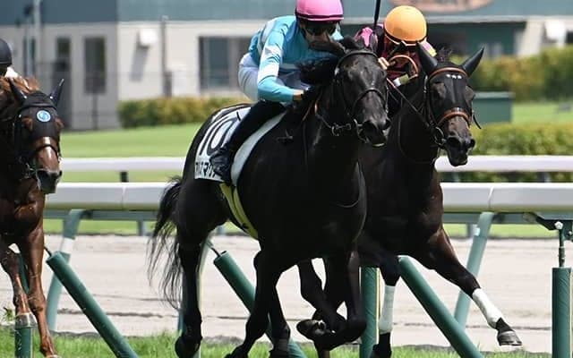 【中京5R新馬戦結果】カレンブラックヒル産駒の8番人気アルスマグナがV