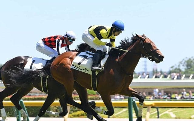 【競馬予想】新潟２歳Ｓは素質馬２頭が有力も、穴党記者は異なる展開で浮上する伏兵２頭に熱視線
