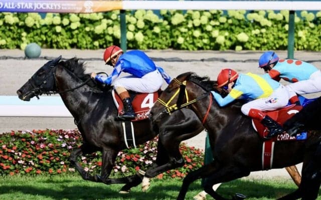 【WASJ・第2戦】ドイツのT.ハマーハンセンが制してJRA初勝利…パトリックハンサムで鮮やかに抜け出す