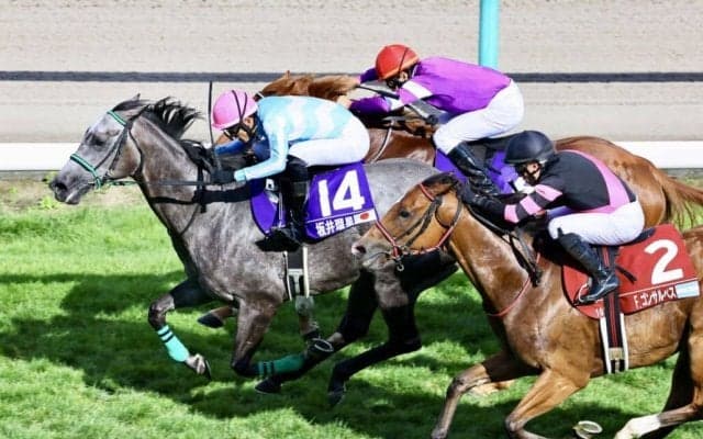 【WASJ・第1戦】坂井瑠星が初戦を制して好発進…ハートホイップで抜け出す