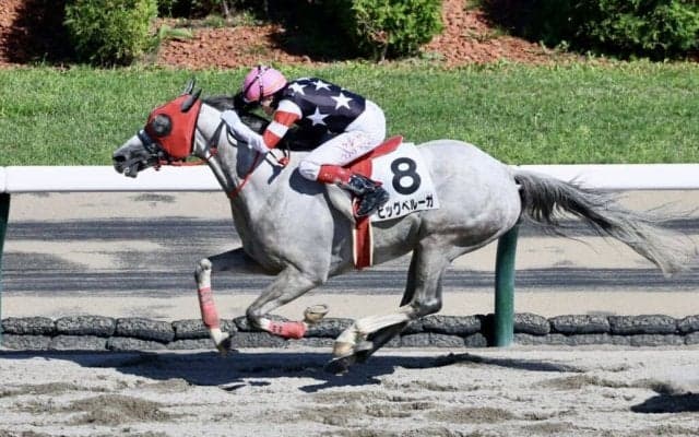 【札幌8R】C.ウィリアムズ騎乗 ビッグベルーガが早め先頭から押し切る