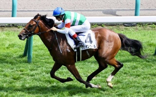 【新馬/札幌5R】単勝1.2倍グリオンヴールが7馬身差圧勝